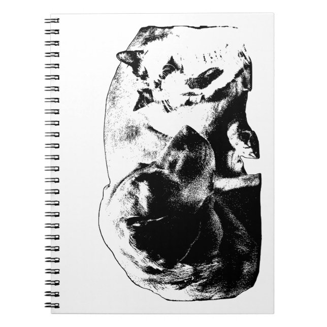 Caderno Espiral Ata da Assembleia (Frente)