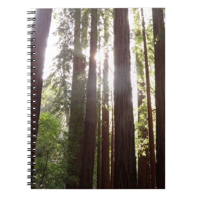 Caderno Espiral Até às sequóias de manhã (Frente)