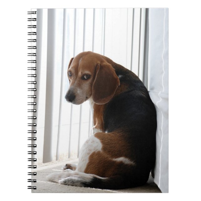 Caderno Espiral atitude do beagle (Frente)