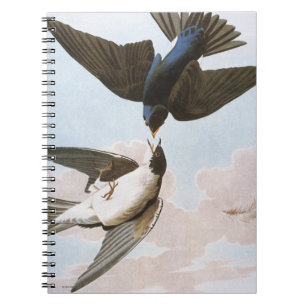 Caderno Espiral Audubon: Andorinha de árvore