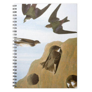 Caderno Espiral Audubon: Andorinhas
