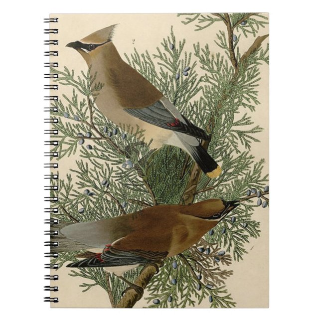 Caderno Espiral Audubon Cedar Waxwing Bird (Frente)