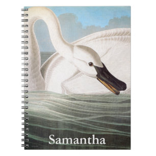 Caderno Espiral Audubon: Cisne de trompetista