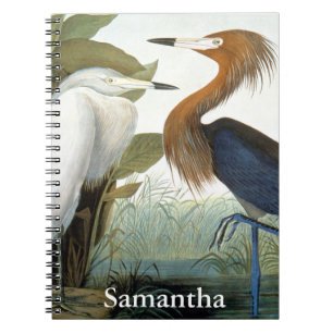 Caderno Espiral Audubon: Egret avermelhado ou garça-real roxa