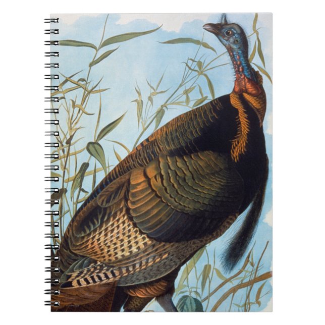 Caderno Espiral Audubon: Turquia selvagem (Frente)