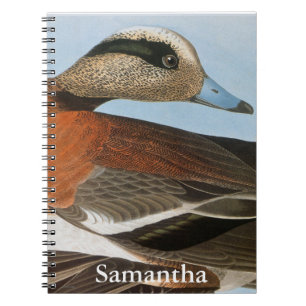 Caderno Espiral Audubon: Wigeon