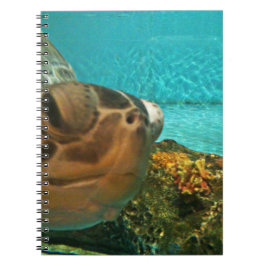 Caderno Espiral Auge engraçado da tartaruga de mar