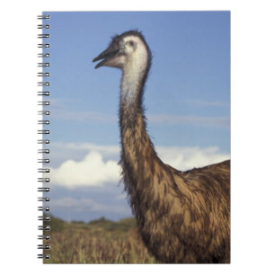 Caderno Espiral Austrália, Austrália Ocidental. Emu (Dromaius