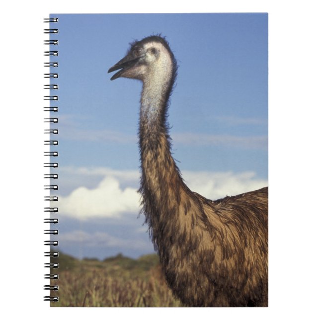 Caderno Espiral Austrália, Austrália Ocidental. Emu (Dromaius (Frente)