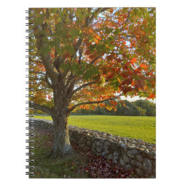 Caderno Espiral Autumn at Stone Wall Spiral Notebook