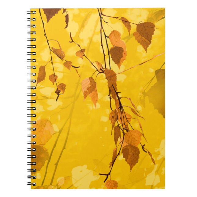 Caderno Espiral Autumn Leaves 3 (Frente)