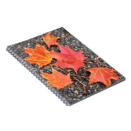 Caderno Espiral Autumn Maple Deixa Notebook Espiral