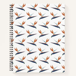 Caderno Espiral Ave do Paraíso