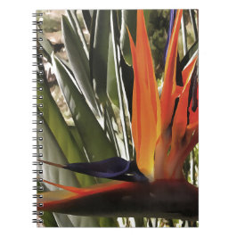 Caderno Espiral Ave do Paraíso Strelitzia Reginae - Painti acrílic
