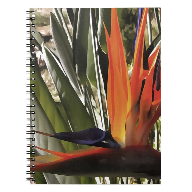 Caderno Espiral Ave do Paraíso Strelitzia Reginae - Painti acrílic (Frente)