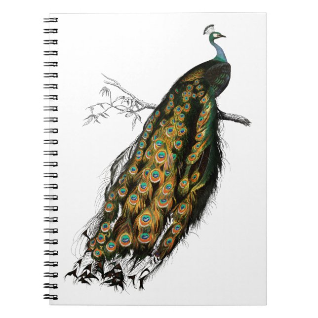Caderno Espiral Ave indiana de pavão vintage (Frente)