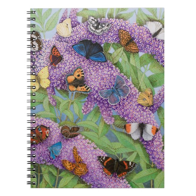 Caderno Espiral Aventurando-se 2011 (Frente)
