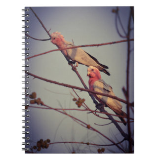 Caderno Espiral Aves Galah na árvore2