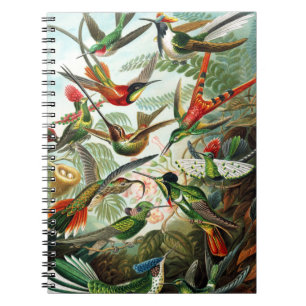 Caderno Espiral Aves-múmias por Ernst Haeckel