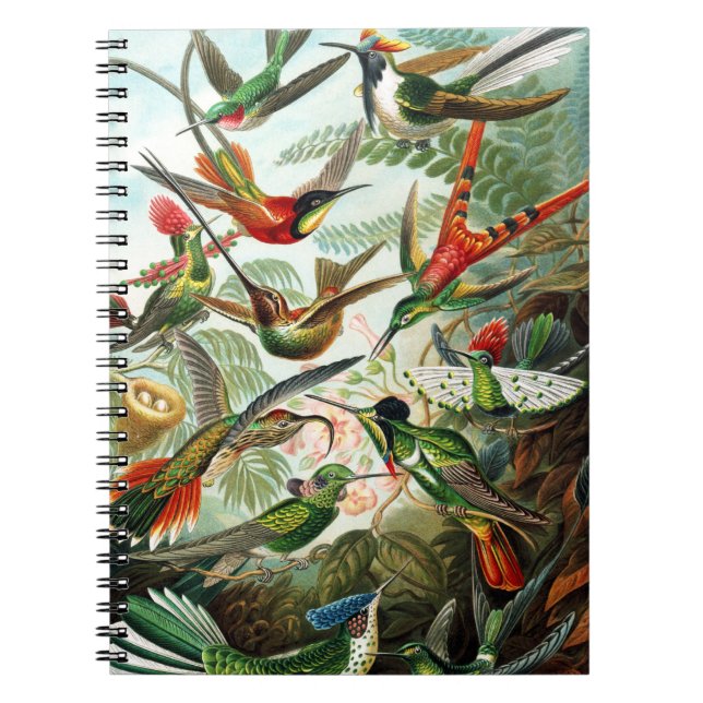 Caderno Espiral Aves-múmias por Ernst Haeckel (Frente)