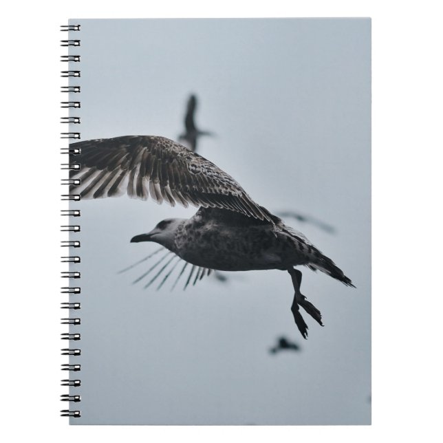 CADERNO ESPIRAL AVES NEGROS E BRANCOS (Frente)