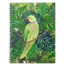 aves, papagaios