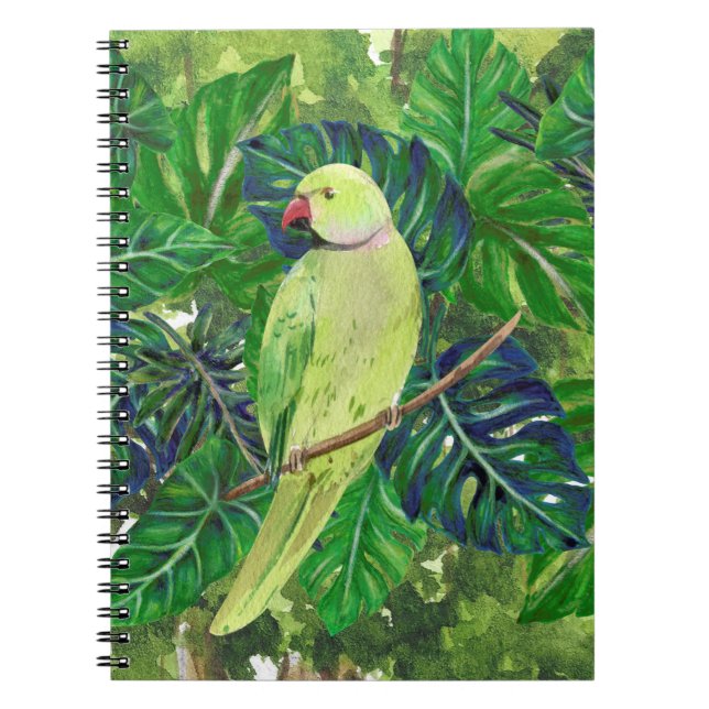 Caderno Espiral aves, papagaios (Frente)
