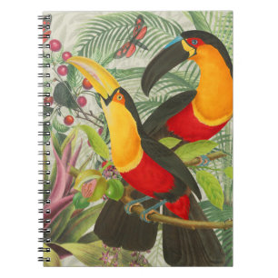 Caderno Espiral Aves Tropicais Vibrantes Turianos Arte Selva Exóti