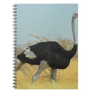 Caderno Espiral Avestruz correndo