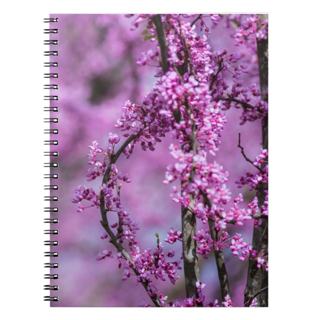 Caderno Espiral Avondale Redbud Art (Frente)