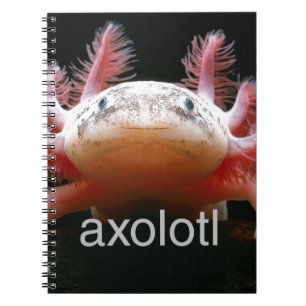 Caderno Espiral Axolotl do Axolotl do Axolotl do Axolotl