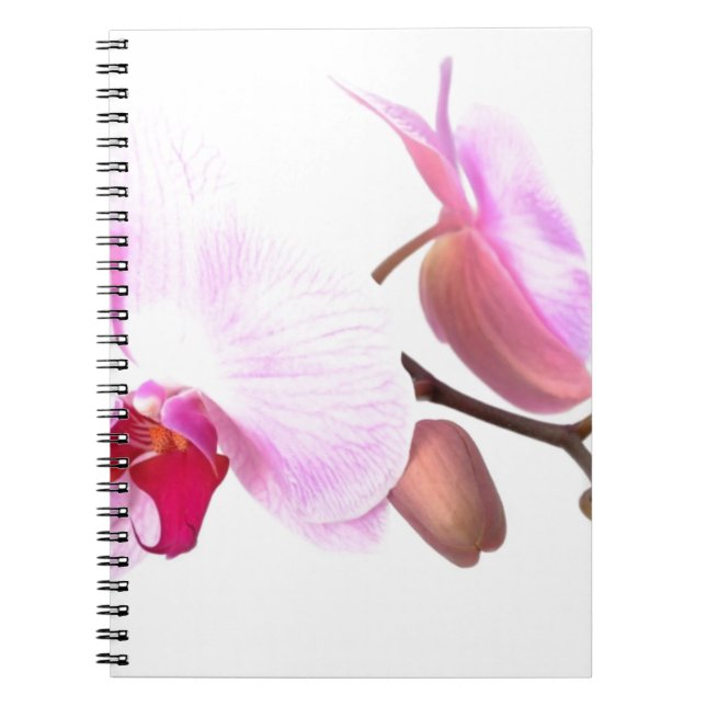 Caderno Espiral Aziza Orchid Blossoms (Frente)