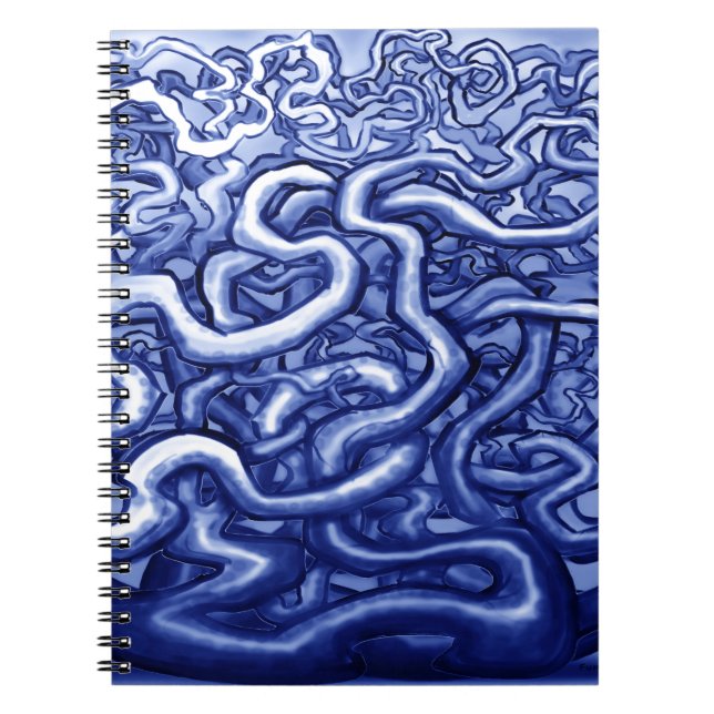 Caderno Espiral Azul-Vinha (Frente)