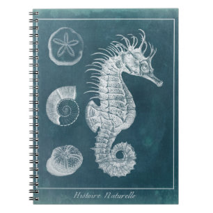 Caderno Espiral Azure Seacavalo Study I