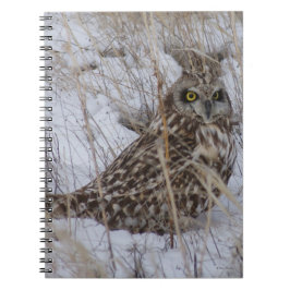 Caderno Espiral B11 Coruja-buraqueira na Neve