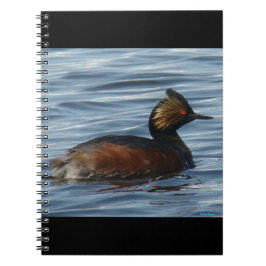 Caderno Espiral B13 Mergulhão-Orelhudo