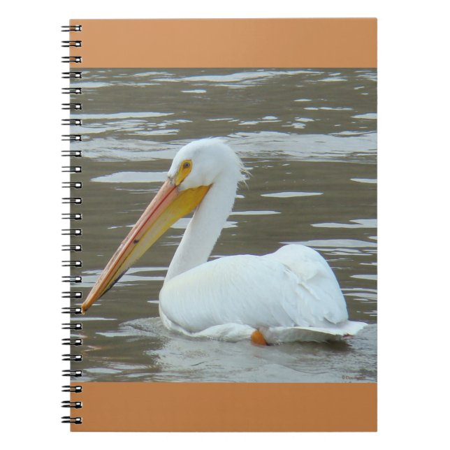 Caderno Espiral B15 Pelicano Branco sobre Água Doce (Frente)