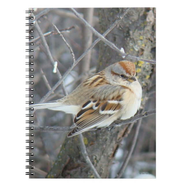 Caderno Espiral B24 Cebolinha comum (Frente)