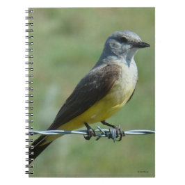 Caderno Espiral B31 Tirano-bravo-ocidental