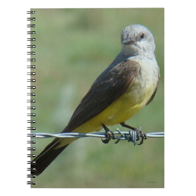 Caderno Espiral B32 Papa-Figuras-Ocidental (Frente)