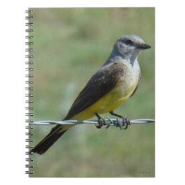 Caderno Espiral B44 Tirano-ocidental