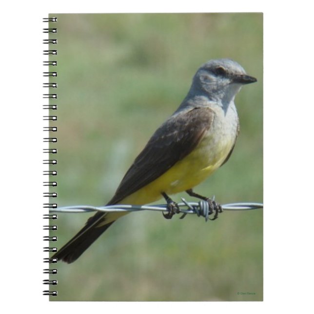 Caderno Espiral B44 Tirano-ocidental (Frente)