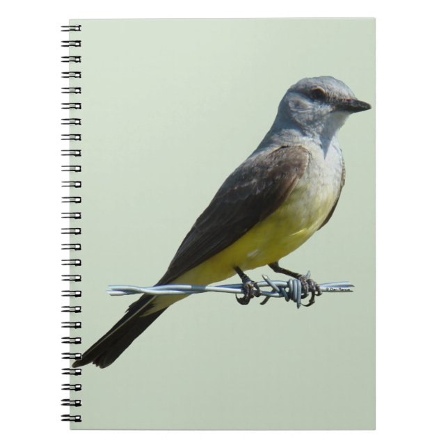 Caderno Espiral B45 Western Kingbird (Frente)