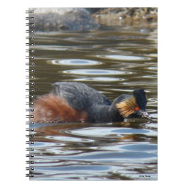 Caderno Espiral B8 Eared Grebe Cortejando