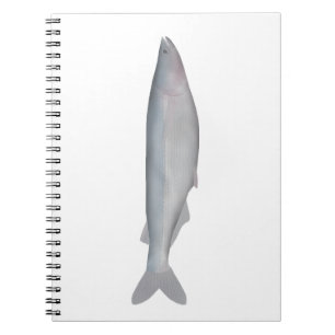 Caderno Espiral Baboso