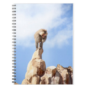Caderno Espiral Babuíno no topo de uma montanha