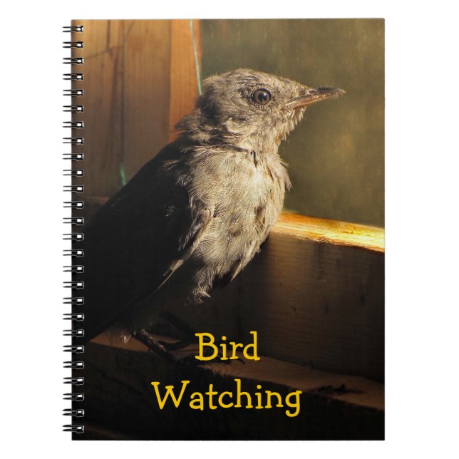Caderno Espiral Baby Catbird (Frente)