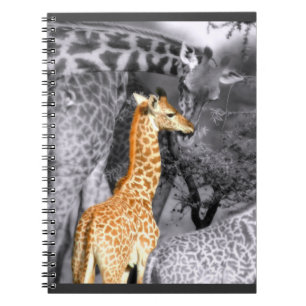 Caderno Espiral Baby Giraffe
