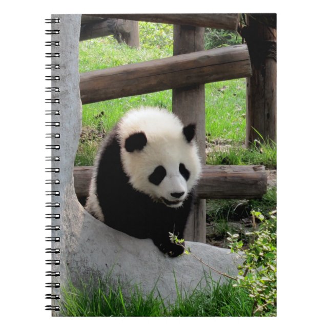 Caderno Espiral Baby Panda (Frente)