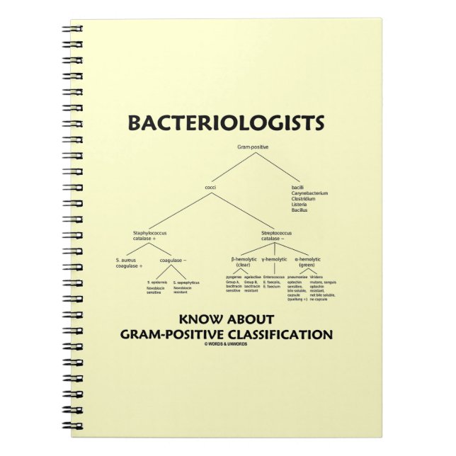 Caderno Espiral Bacteriologistas Conhecem Classificação Gram-Posit (Frente)